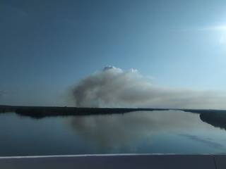 Incêndio atinge Parque Nacional de Ilha Grande (Foto: Divulgação)