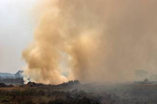 Fumaça densa em área queimando no Pantanal do Mato Grosso (Foto: Ahmad Jarrah e Bruna Obadowski/A Lente)