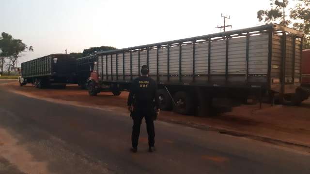 Caminh&otilde;es s&atilde;o apreendidos com 120 bois ilegais do Paraguai