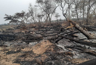 Amontuado de madeira queimada na região de Aquidauana. (Foto:Divulgação/PMA)