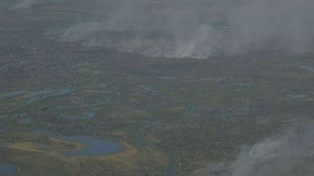 Em 18 anos, Pantanal perdeu 2,1 mil quil&ocirc;metros quadrados de &aacute;rea