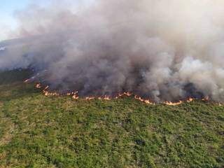 Bombeiros registraram incêndio no Parque da Ilha Grande, em Naviraí. (Foto: Reprodução/Corpo de Bombeiros Militar)