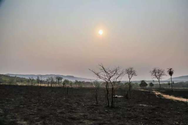 Pantanal vai se recuperar, mas como e em quanto tempo?