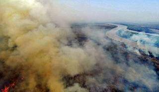Pantanal sofre com incêndios há mais de um mês (Foto: CBMS/Divulgação)