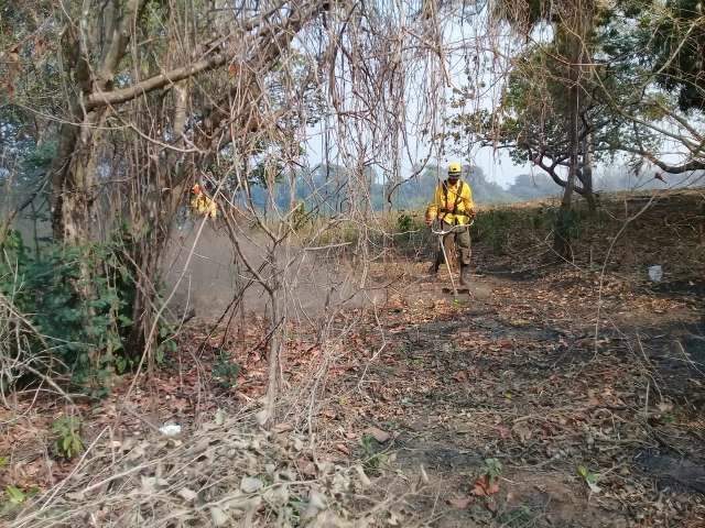 Bombeiros criam barreiras para &quot;isolar&quot; ribeirinhos do fogo no Pantanal 