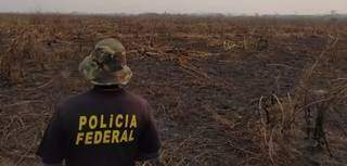 Operação Matáá vistoriou propriedades de cinco fazendeiros no Pantanal de MS (Foto: PF/Divulgação)