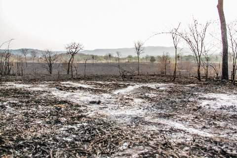 Inc&ecirc;ndios florestais j&aacute; atingiram os tr&ecirc;s biomas de Mato Grosso do Sul