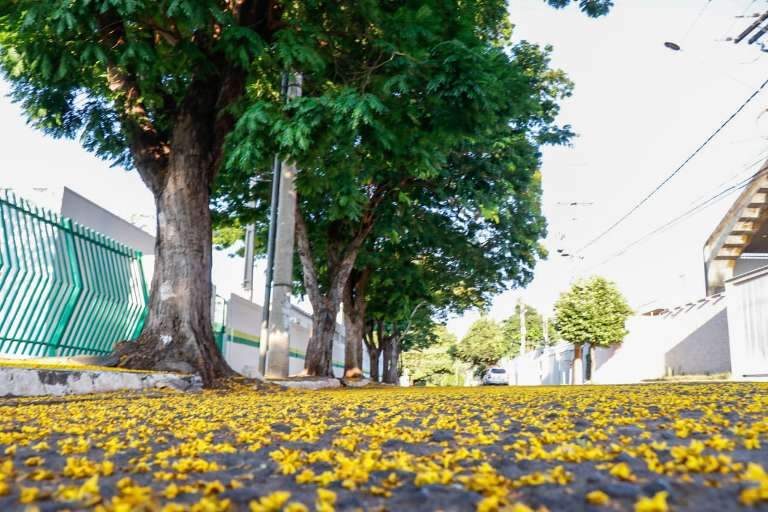 Campo Grande News