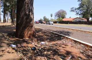 Jovem de 22 anos morre ao perder controle de moto e atingir árvore Jovem de 22 anos morre ao perder controle de moto e atingir árvore