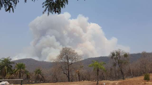 Com 16,4 mil focos, controle do fogo no Pantanal se torna humanamente imposs&iacute;vel