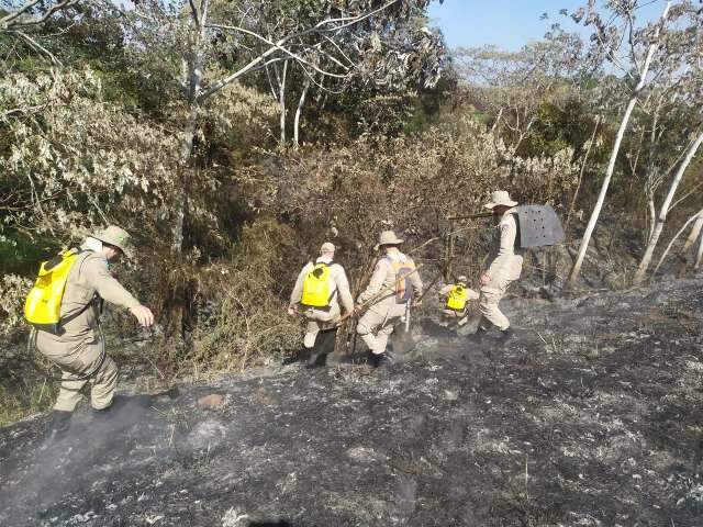 Com &quot;fogo contra fogo&quot; for&ccedil;a-tarefa combate chamas no Parque da Ilha Grande