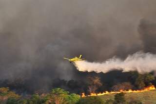 Combate aéreo aos focos de incêndio em MS (Foto: Divulgação)