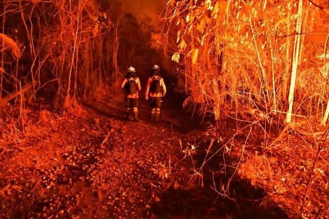 Contido ap&oacute;s 20 horas, trabalho agora &eacute; para fogo n&atilde;o reacender em reserva