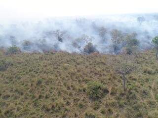 Na região do Nabileque, perto da Estrada Parque, fogo avançou com rapidez de sábado para cá. (Foto: Fazenda BR-Pec)