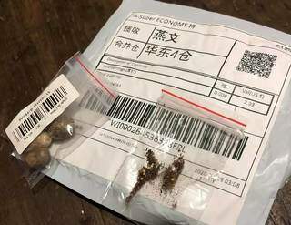 Pacotes misteriosos vindo da China com sementes de procedência incerta (Foto: Reprodução)