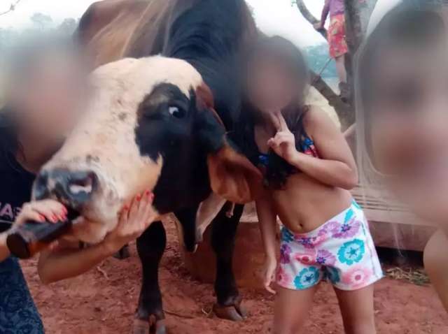Mulher que deu cerveja para &quot;boi&quot; &eacute; localizada e responder&aacute; por maus-tratos