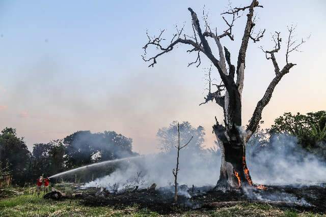 Fogo se espalha, atinge pra&ccedil;a e moradores se unem em &quot;for&ccedil;a-tarefa&quot;