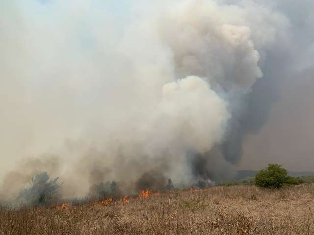 For&ccedil;a-tarefa age contra fogo para evitar que trag&eacute;dia suba a Serra do Amolar