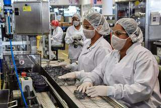 Mulheres trabalham em indústria de MS. Setor foi o que apresentou melhor resultado (Foto: Fiems/Divulgação)