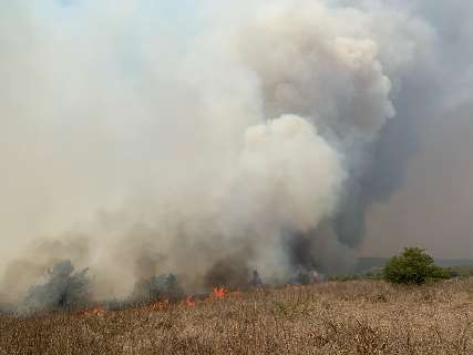 Força-tarefa age contra fogo para evitar que tragédia suba a Serra do Amolar