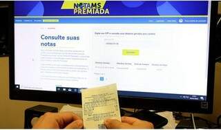 Contribuinte consulta números pela internet (Foto: Divulgação)