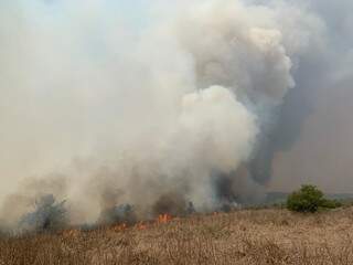 Força-tarefa tenta impedir que fogo avance pela Serra do Amolar. (Foto: Divulgação/Instituto do Homem Pantaneiro)