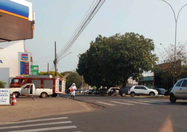 Ataque de abelhas provoca correria em ruas de cidade da fronteira