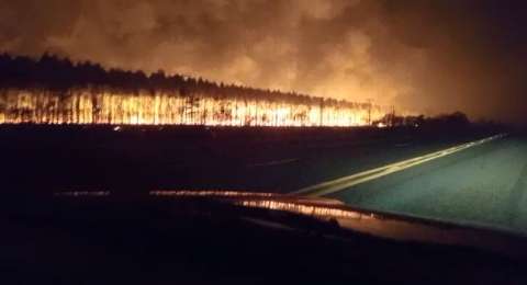 Inc&ecirc;ndio atinge planta&ccedil;&atilde;o de eucaliptos &agrave; margem da BR-158