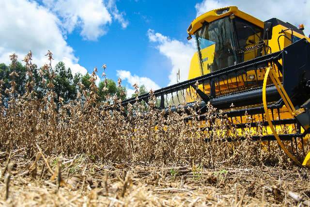 Safra agr&iacute;cola alcan&ccedil;a valor de produ&ccedil;&atilde;o recorde de R$ 361 bilh&otilde;es em 2019