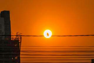 Um sol para cada um: Campo Grande teve ontem calor de 38,8ºC. (Foto: Henrique Kawaminami)