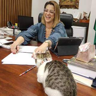 A senadora Soraya sorri do gato em cima da mesa, depois de ser resgatado. (Foto: Divulgação)