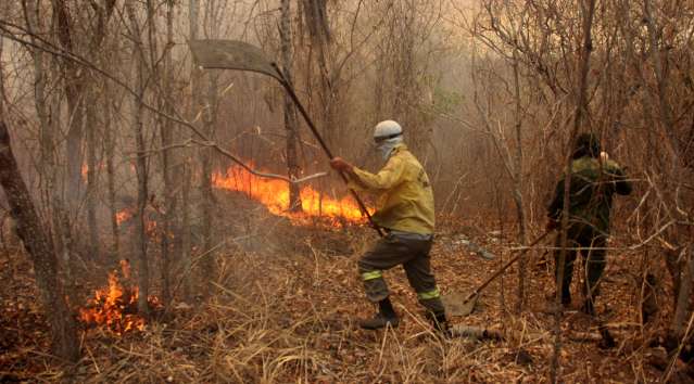 For&ccedil;a Nacional vai refor&ccedil;ar combate aos inc&ecirc;ndios no Pantanal com 40 bombeiros 