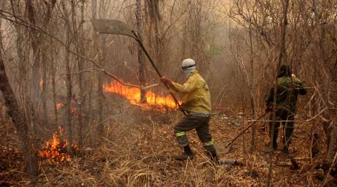 Força Nacional vai reforçar combate aos incêndios no Pantanal com 40 bombeiros 