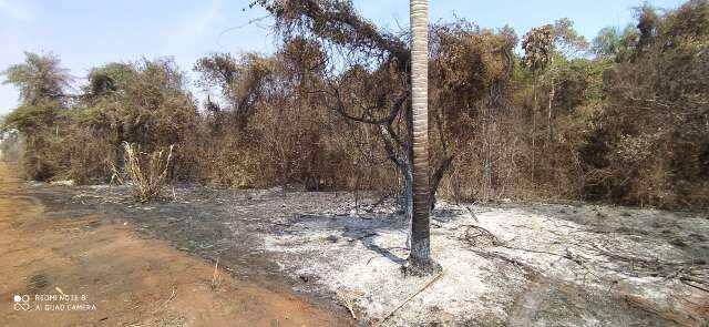 Empresa &eacute; multada em R$ 325 mil por inc&ecirc;ndio em planta&ccedil;&atilde;o de cana e vegeta&ccedil;&atilde;o 