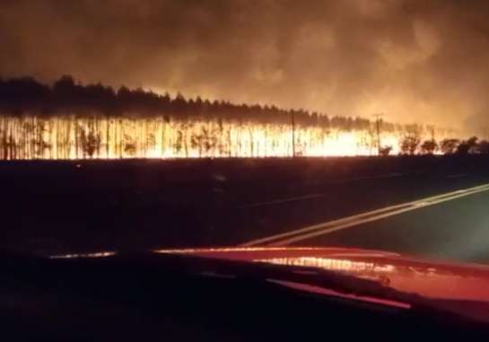 Ap&oacute;s horas de combate &agrave;s chamas, inc&ecirc;ndio em planta&ccedil;&atilde;o de eucalipto &eacute; controlado