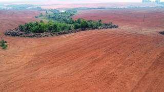Fazendeiro &eacute; multado em R$ 27,5 mil por desmatamento em &aacute;rea protegida