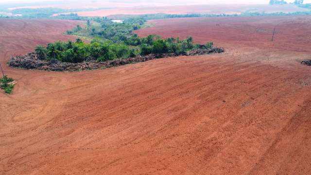Fazendeiro &eacute; multado em R$ 27,5 mil por desmatamento em &aacute;rea protegida