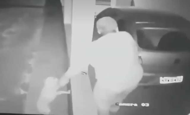 C&acirc;mera flagra homem que espanca e atira em cachorro em s&iacute;tio  