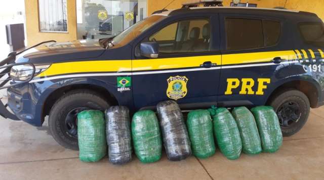Casal &eacute; preso com 65 quilos de folhas de coca que seriam entregues em SP 