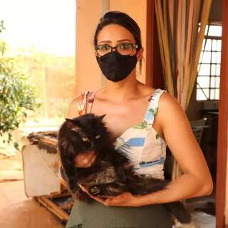 Sozinha, cabeleireira cuida de 70 animais em casa e pede “socorro”