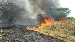 Fogo hoje na região do Rabicho, em Corumbá. (Foto: Corpo de Bombeiros)