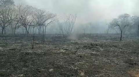 Seca e fogo que já consumiram 26% do Pantanal podem derrubar qualidade da água 