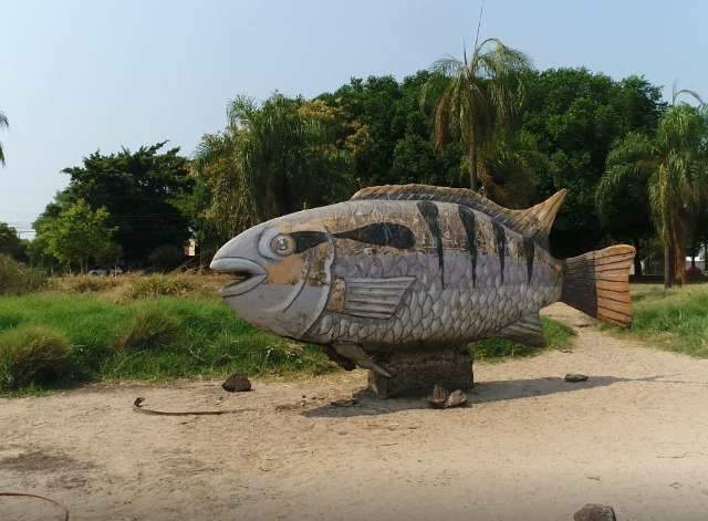 Estiagem &eacute; tanta que peixe fica fora da &aacute;gua na Lagoa Itatiaia