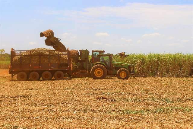 Safra da cana-de-a&ccedil;&uacute;car atinge 32 milh&otilde;es de toneladas em MS