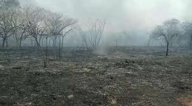 Seca e fogo que j&aacute; consumiram 26% do Pantanal podem derrubar qualidade da &aacute;gua 