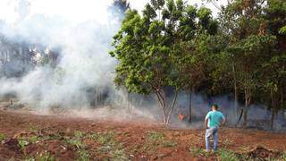 Homem p&otilde;e fogo na beira de c&oacute;rrego para &quot;limpar&quot; terreno e plantar cana 