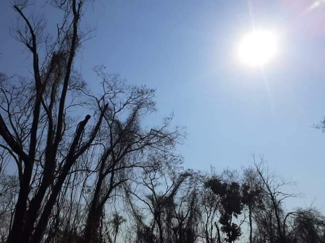 Usina &eacute; multada em R$ 100 mil por causar inc&ecirc;ndio em matas protegidas 