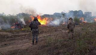 Oficiais durante o combate as chamas em um dos focos de incêndio no Pantanal. (Foto: Divulgação/Corpo de Bombeiros)