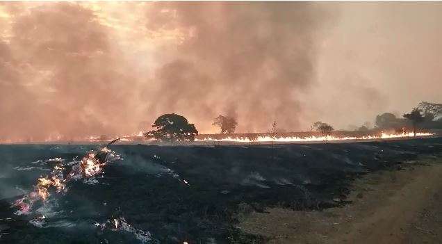 Inc&ecirc;ndio que come&ccedil;ou no s&aacute;bado j&aacute; atingiu 5 fazendas em munic&iacute;pio 