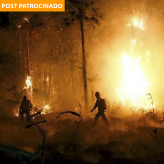 Brigadistas em área tomada pelo fogo no Pantanal de Mato Grosso do Suil. (Foto: PrevFogo)